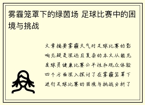 雾霾笼罩下的绿茵场 足球比赛中的困境与挑战