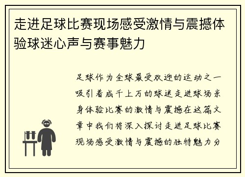 走进足球比赛现场感受激情与震撼体验球迷心声与赛事魅力